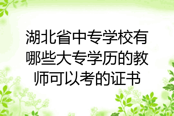 湖北省中专学校有哪些大专学历的教师可以考的证书