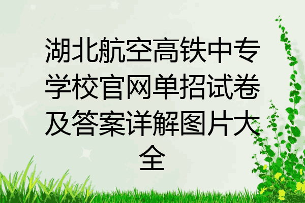 湖北航空高铁中专学校官网单招试卷及答案详解图片大全