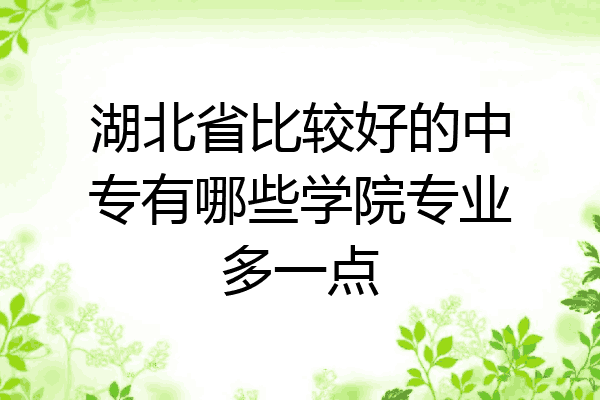 湖北省比较好的中专有哪些学院专业多一点
