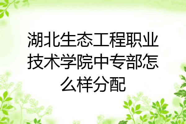 湖北生态工程职业技术学院中专部怎么样分配