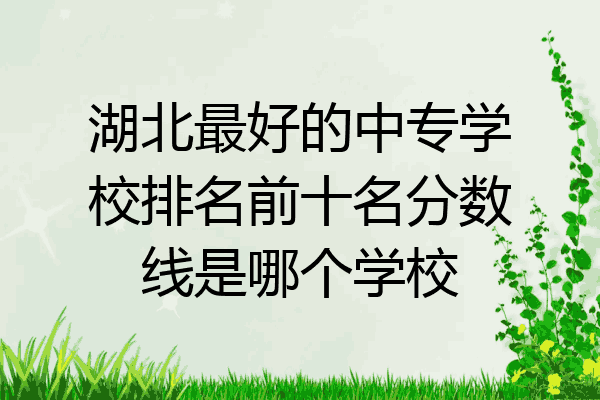 湖北最好的中专学校排名前十名分数线是哪个学校
