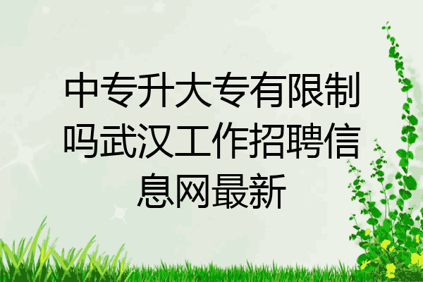 中专升大专有限制吗武汉工作招聘信息网最新