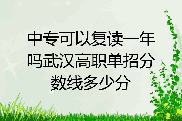 中专可以复读一年吗武汉高职单招分数线多少分