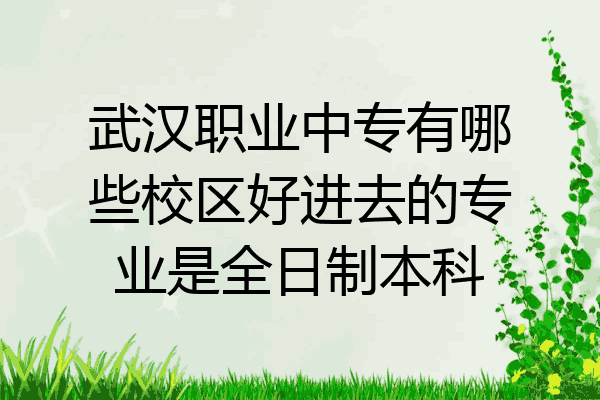 武汉职业中专有哪些校区好进去的专业是全日制本科