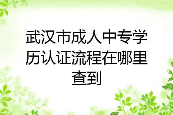 武汉市成人中专学历认证流程在哪里查到