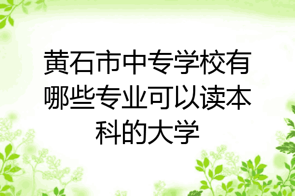 黄石市中专学校有哪些专业可以读本科的大学