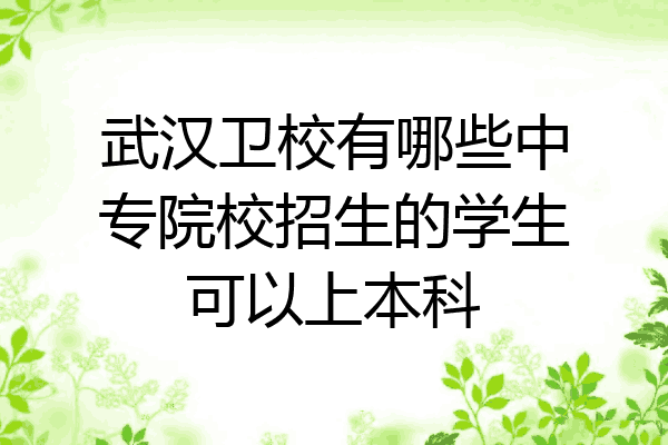 武汉卫校有哪些中专院校招生的学生可以上本科