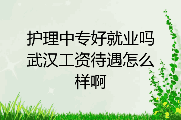护理中专好就业吗武汉工资待遇怎么样啊