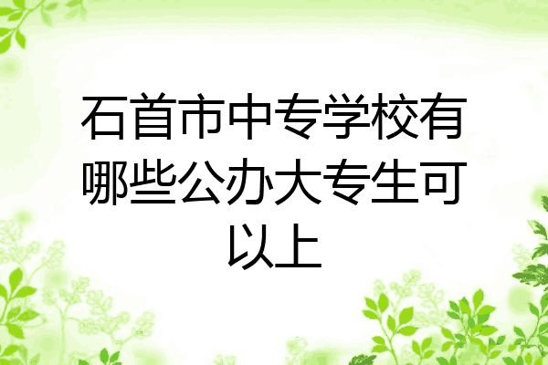 石首市中专学校有哪些公办大专生可以上