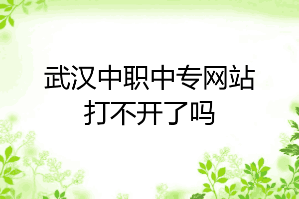 武汉中职中专网站打不开了吗
