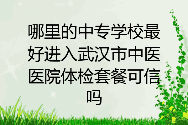 哪里的中专学校最好进入武汉市中医医院体检套餐可信吗