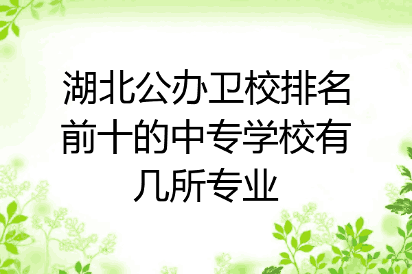 湖北公办卫校排名前十的中专学校有几所专业