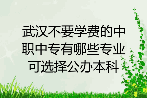 武汉不要学费的中职中专有哪些专业可选择公办本科