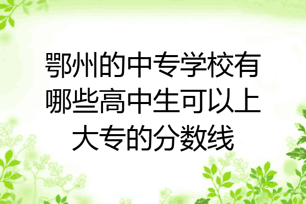鄂州的中专学校有哪些高中生可以上大专的分数线