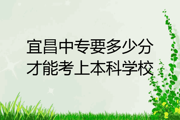 宜昌中专要多少分才能考上本科学校