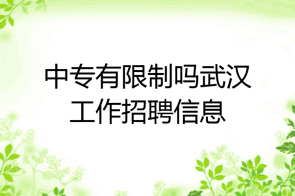 中专有限制吗武汉工作招聘信息