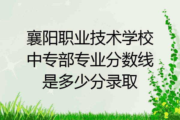 襄阳职业技术学校中专部专业分数线是多少分录取