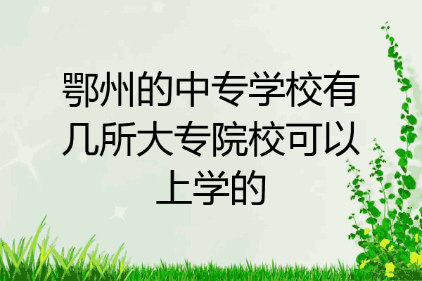 鄂州的中专学校有几所大专院校可以上学的