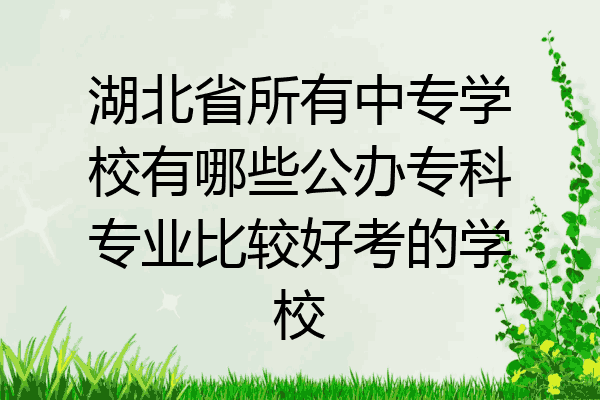 湖北省所有中专学校有哪些公办专科专业比较好考的学校