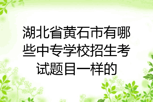 湖北省黄石市有哪些中专学校招生考试题目一样的