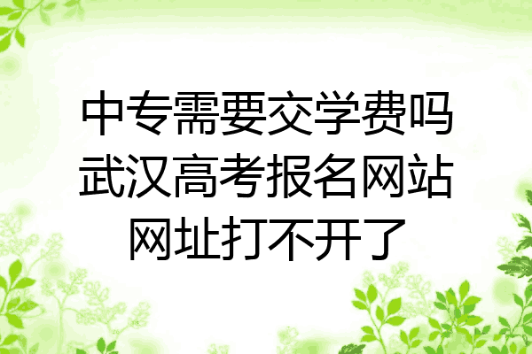 中专需要交学费吗武汉高考报名网站网址打不开了