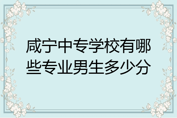 咸宁中专学校有哪些专业男生多少分