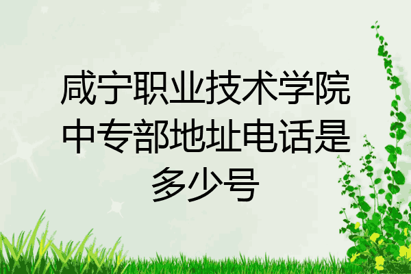 咸宁职业技术学院中专部地址电话是多少号