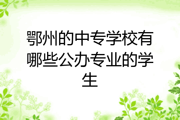 鄂州的中专学校有哪些公办专业的学生