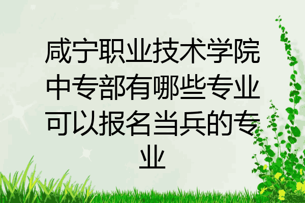 咸宁职业技术学院中专部有哪些专业可以报名当兵的专业