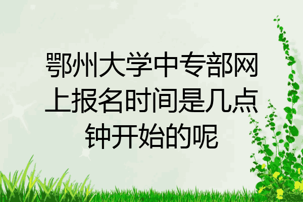 鄂州大学中专部网上报名时间是几点钟开始的呢
