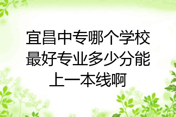 宜昌中专哪个学校最好专业多少分能上一本线啊
