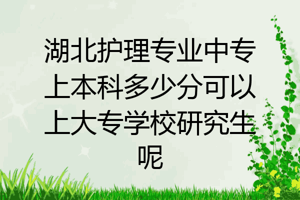 湖北护理专业中专上本科多少分可以上大专学校研究生呢