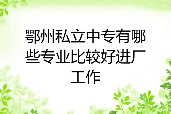 鄂州私立中专有哪些专业比较好进厂工作