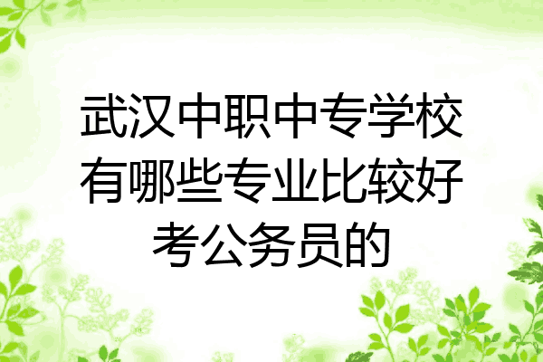 武汉中职中专学校有哪些专业比较好考公务员的