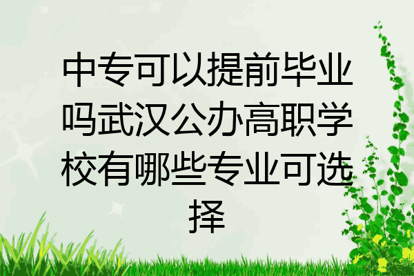 中专可以提前毕业吗武汉公办高职学校有哪些专业可选择