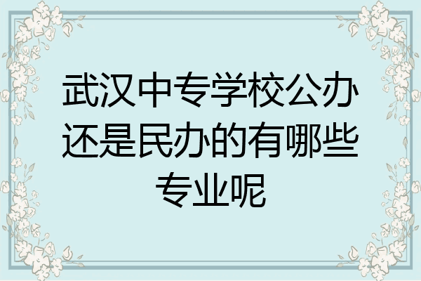武汉中专学校公办还是民办的有哪些专业呢