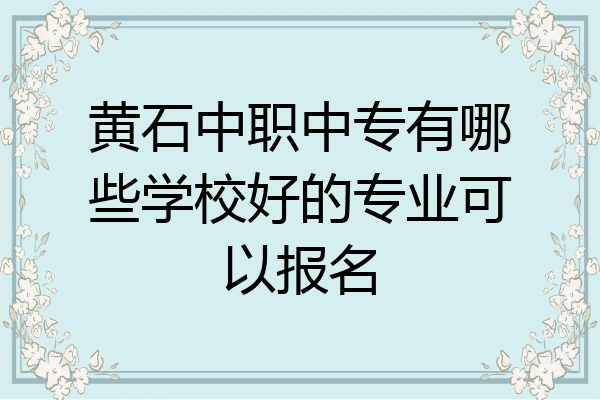 黄石中职中专有哪些学校好的专业可以报名