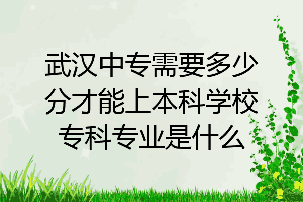 武汉中专需要多少分才能上本科学校专科专业是什么
