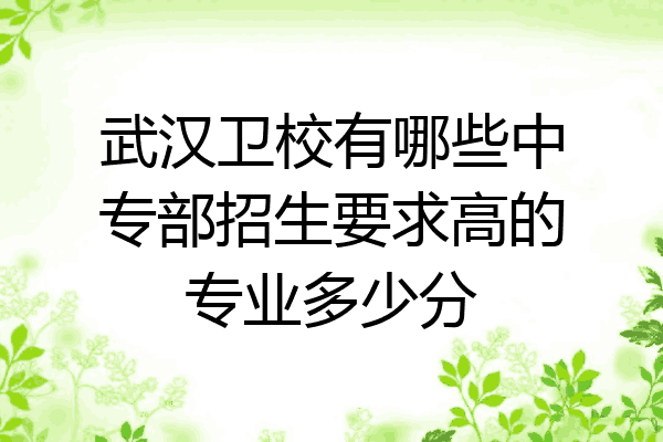 武汉卫校有哪些中专部招生要求高的专业多少分