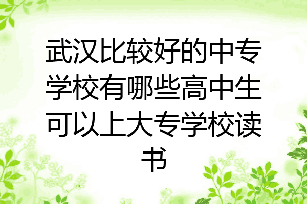 武汉比较好的中专学校有哪些高中生可以上大专学校读书