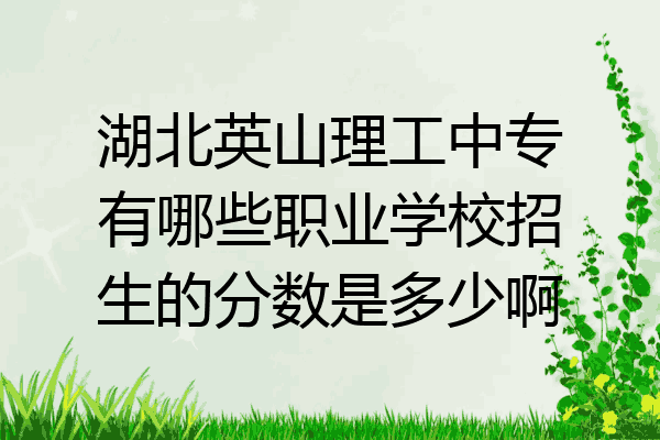湖北英山理工中专有哪些职业学校招生的分数是多少啊