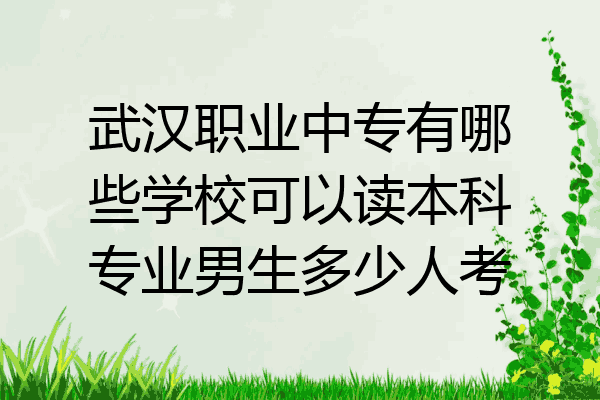 武汉职业中专有哪些学校可以读本科专业男生多少人考