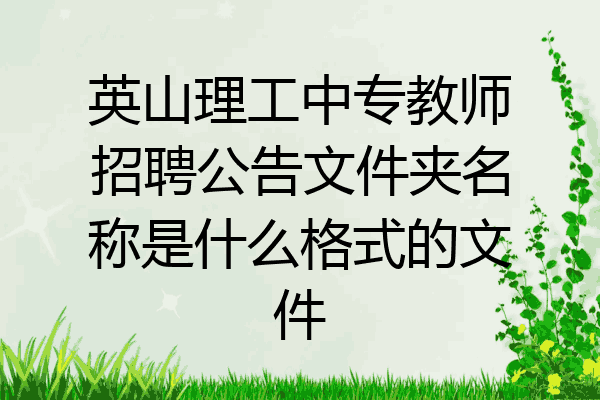 英山理工中专教师招聘公告文件夹名称是什么格式的文件