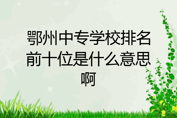 鄂州中专学校排名前十位是什么意思啊