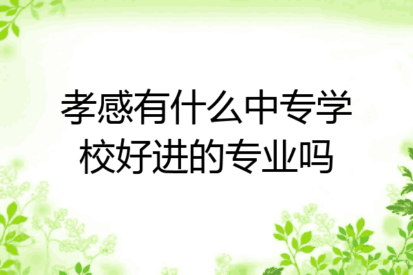 孝感有什么中专学校好进的专业吗