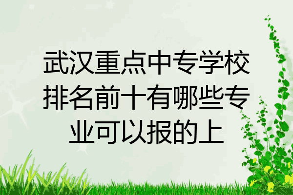 武汉重点中专学校排名前十有哪些专业可以报的上
