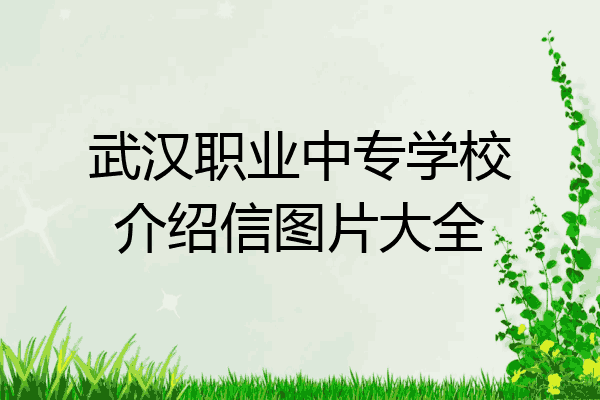 武汉职业中专学校介绍信图片大全