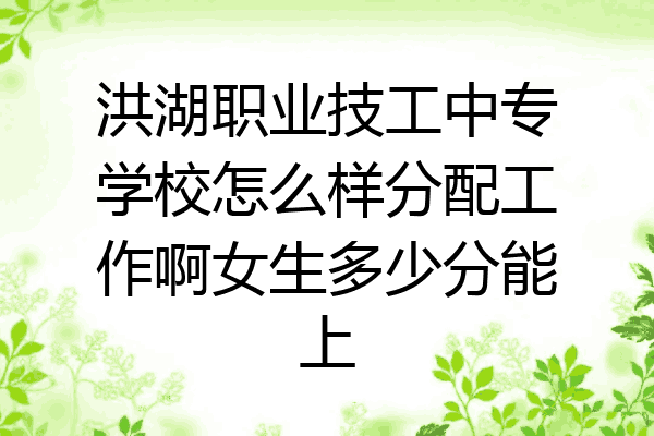 洪湖职业技工中专学校怎么样分配工作啊女生多少分能上