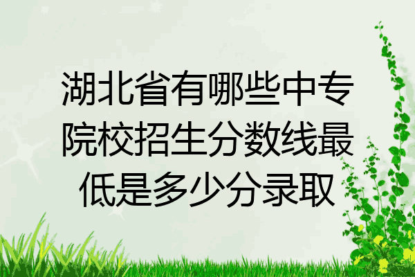 湖北省有哪些中专院校招生分数线最低是多少分录取