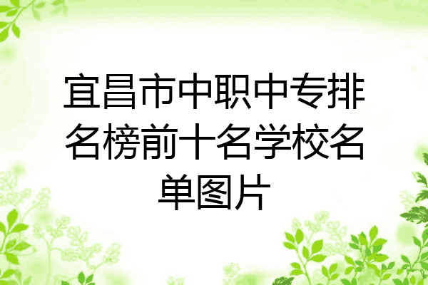 宜昌市中职中专排名榜前十名学校名单图片